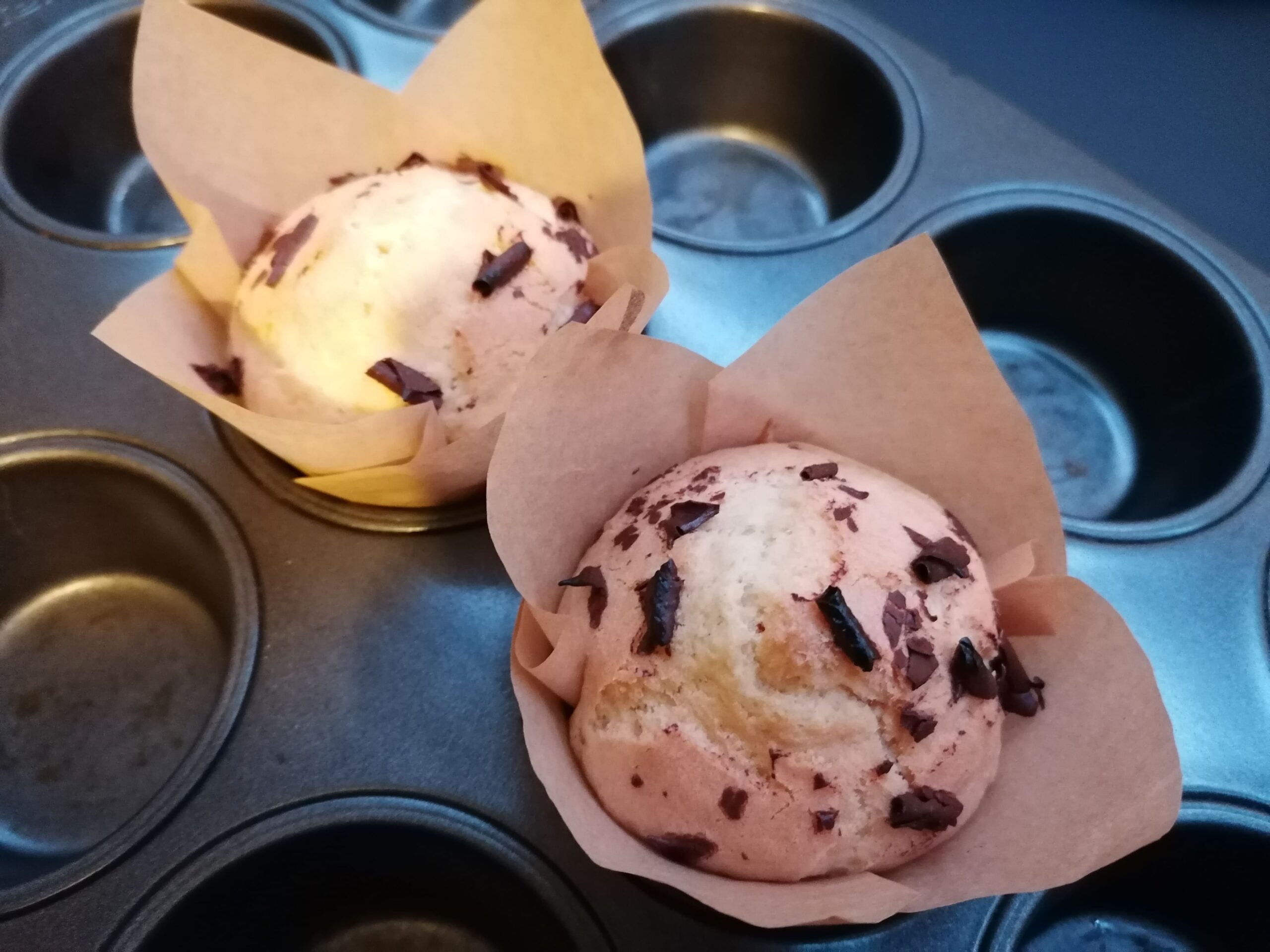 muffins sans gluten, ni lactose – Image 3