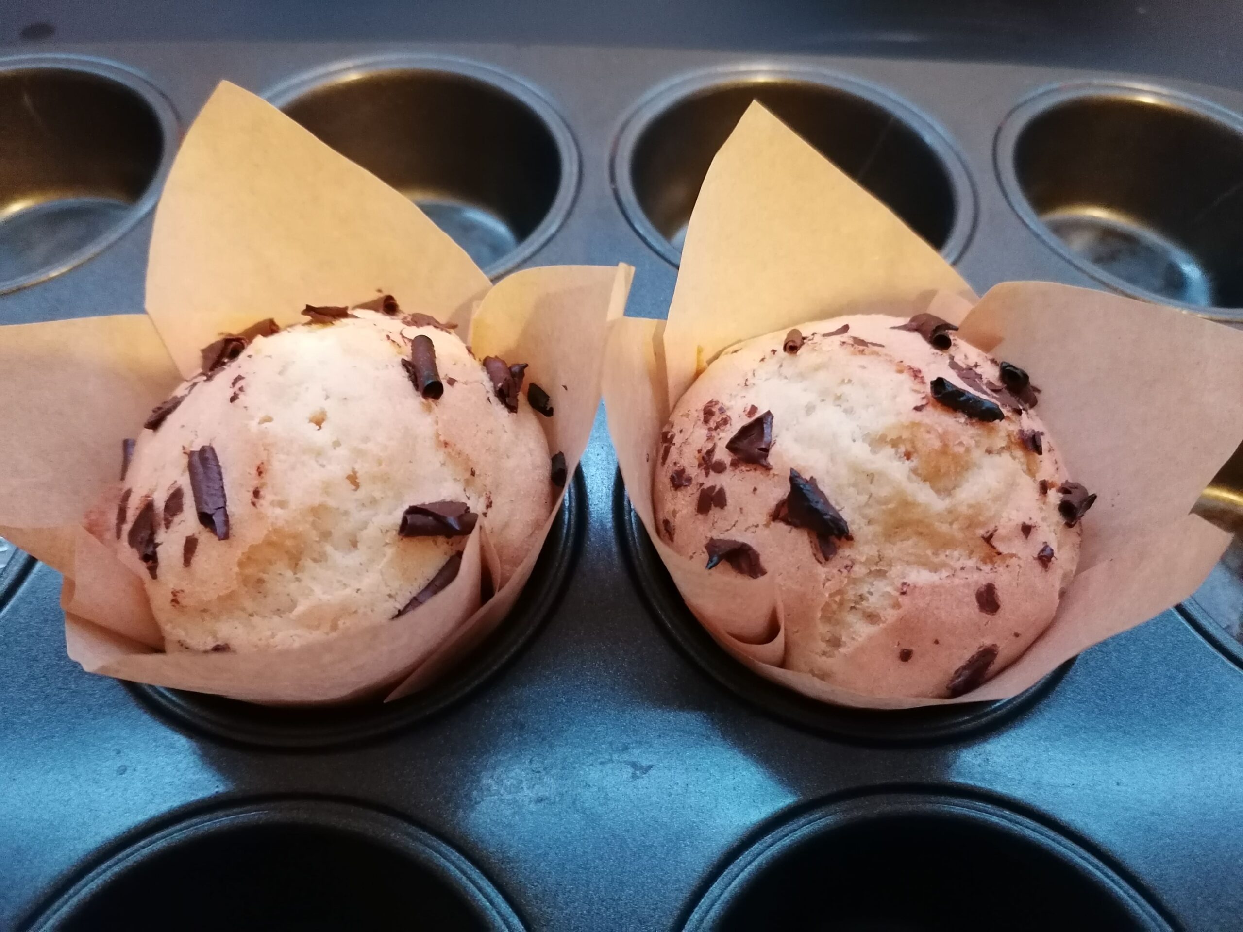 muffins sans gluten, ni lactose